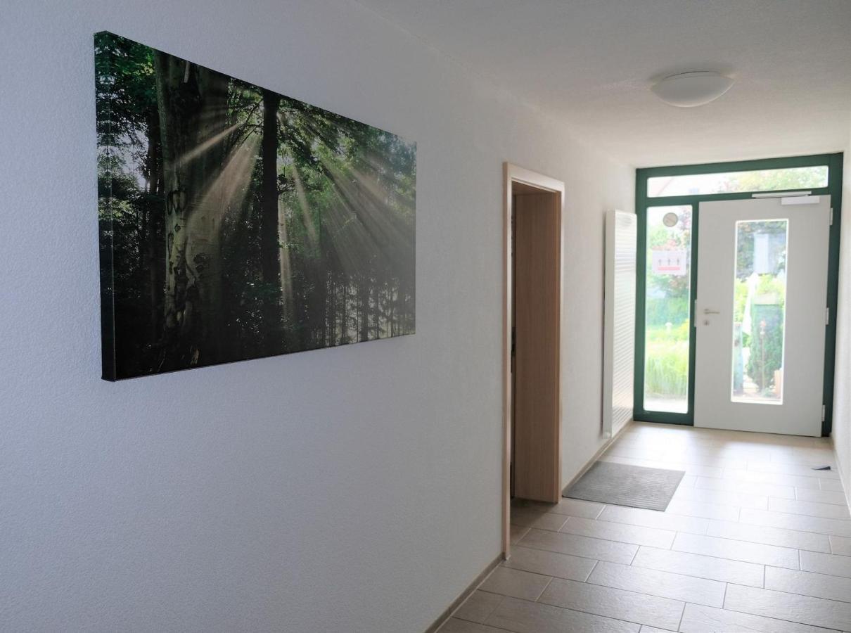 Pension Steinle Erbach an der Danau ภายนอก รูปภาพ